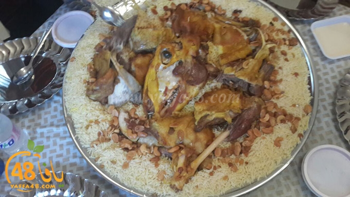 zibda yaffa jadda (10).jpg